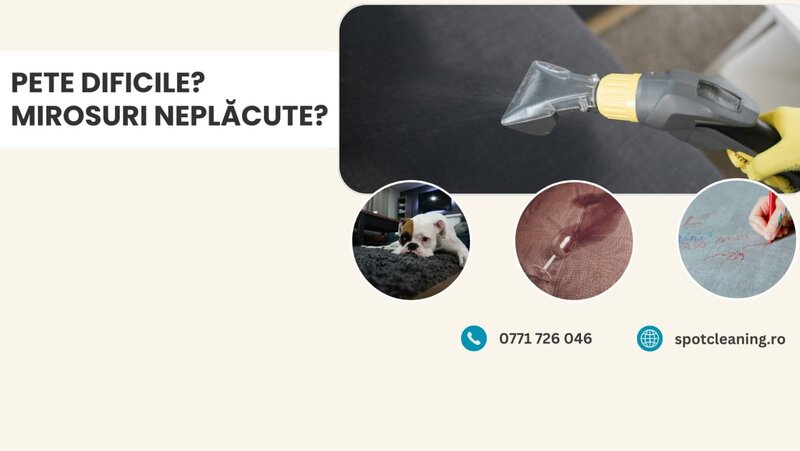 Spot Cleaning - Curatare suprafete textile