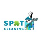 Spot Cleaning - Curatare suprafete textile